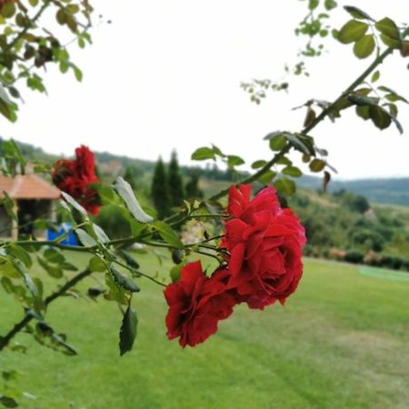 Domacinstvo Sindelic Hotel Ivanjica Luaran gambar