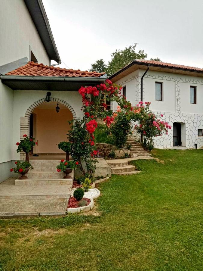 Domacinstvo Sindelic Hotel Ivanjica Luaran gambar