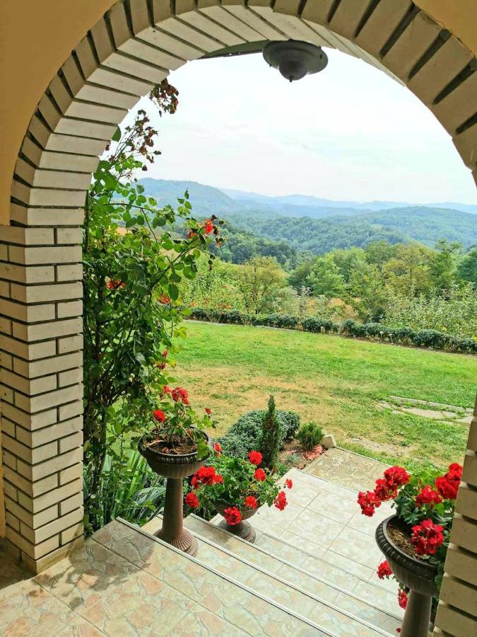 Domacinstvo Sindelic Hotel Ivanjica Luaran gambar