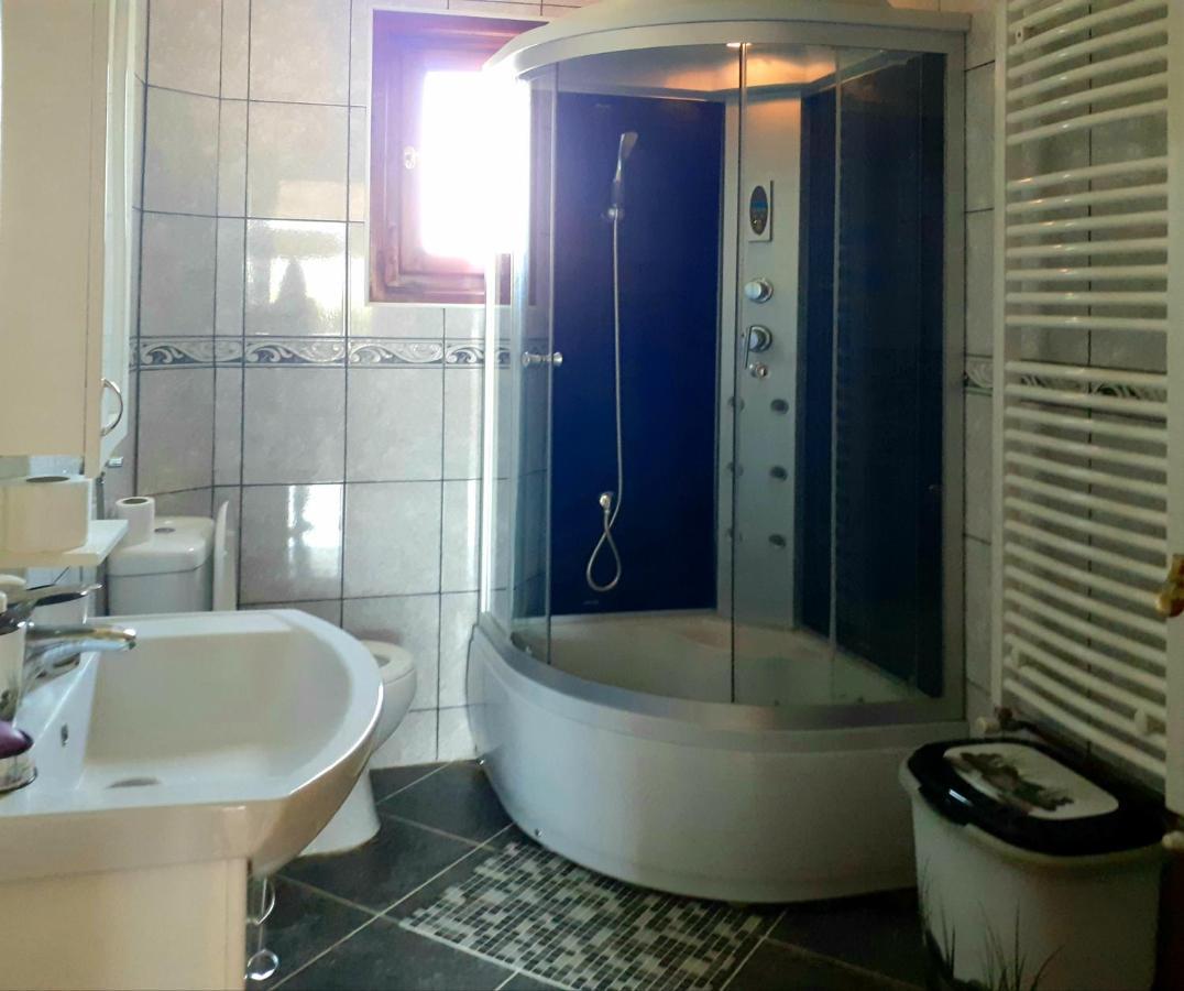 Domacinstvo Sindelic Hotel Ivanjica Luaran gambar