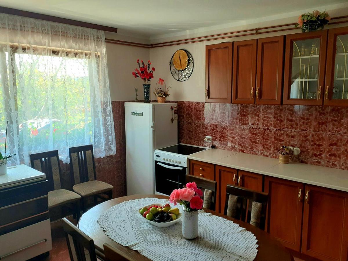 Domacinstvo Sindelic Hotel Ivanjica Luaran gambar